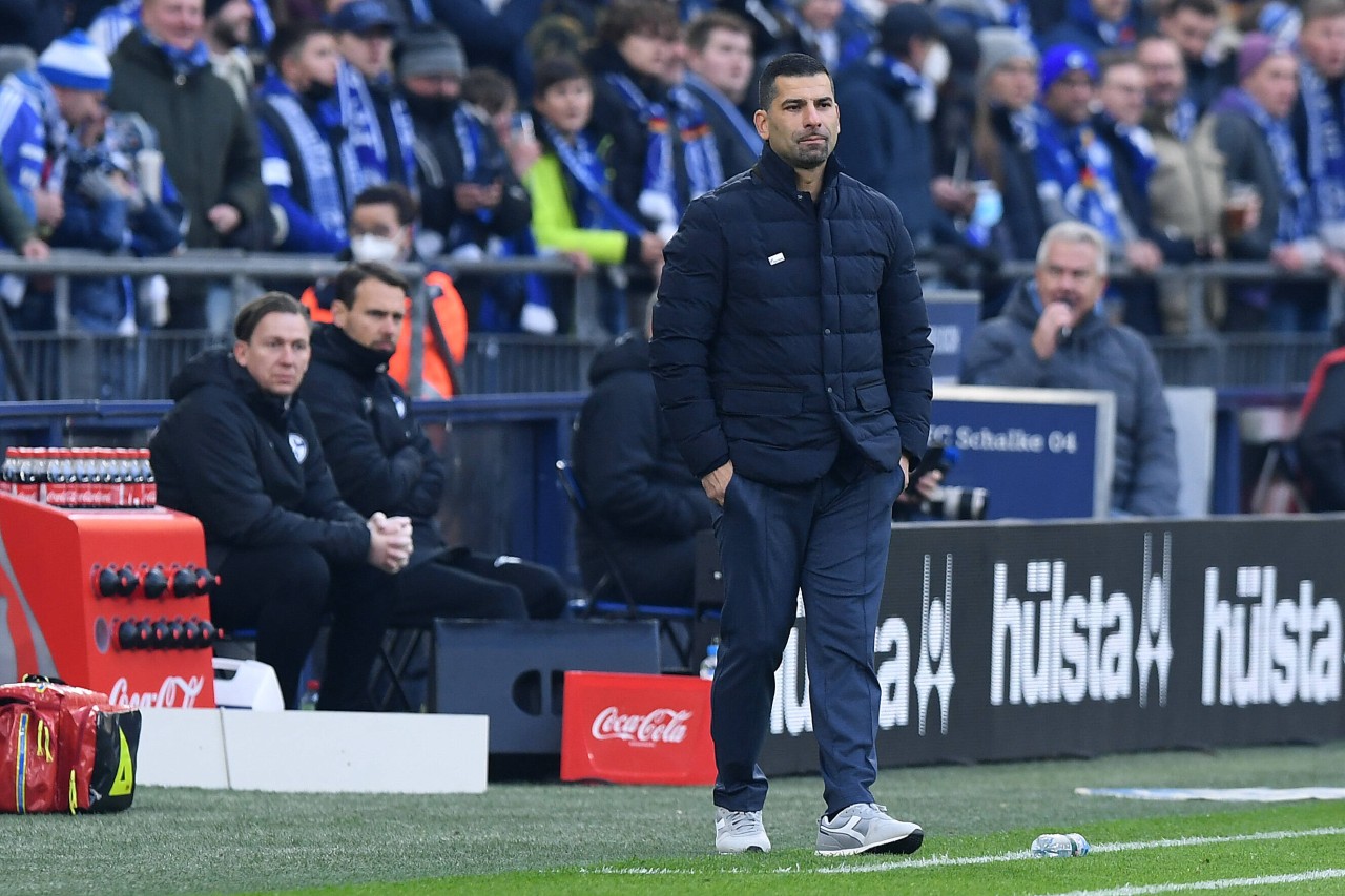 Zuletzt stand Grammozis beim 5:2-Heimsieg des FC Schalke 04 gegen den SV Sandhausen an der Seitenlinie.