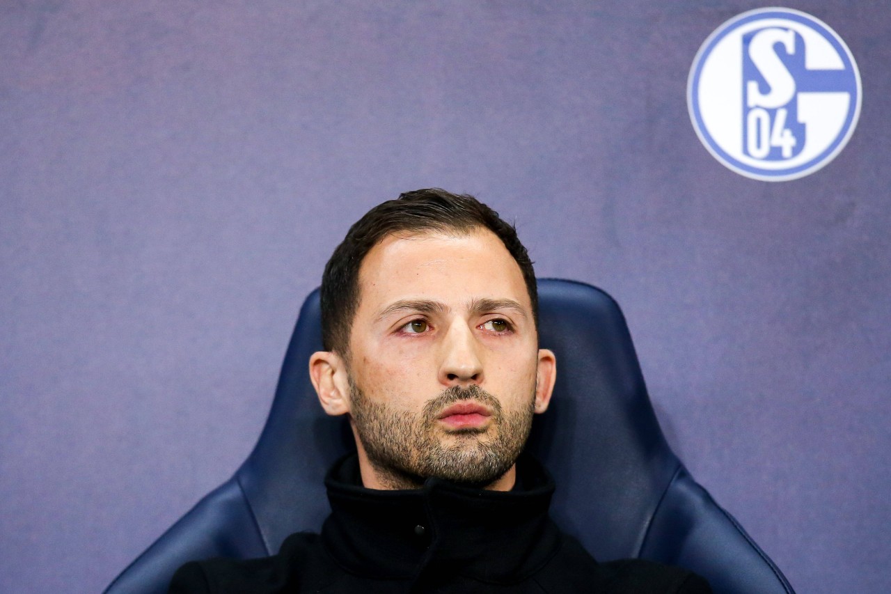 Domenico Tedesco trainierte den FC Schalke 04 und Erzgebirge Aue.