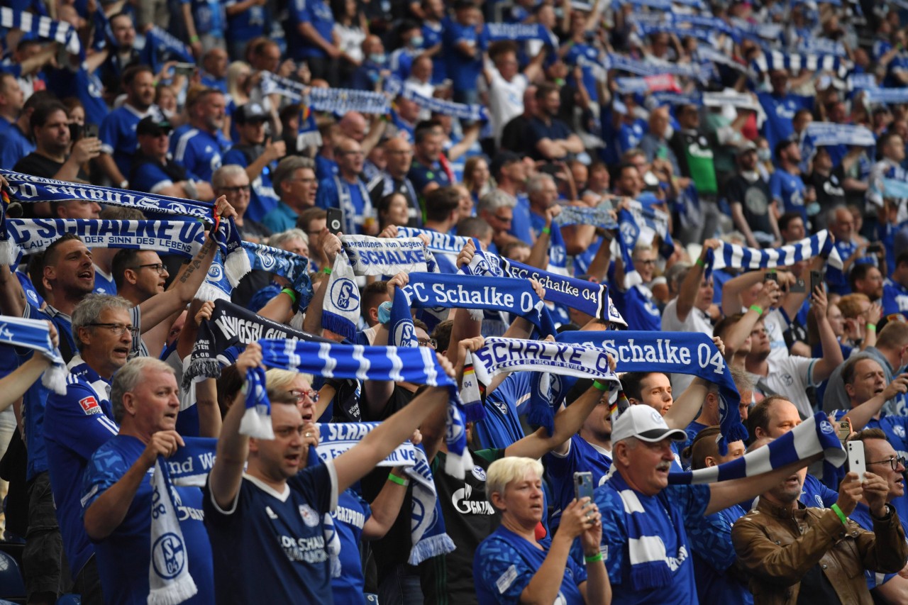Diese Nachricht des FC Schalke 04 lässt die Fans vor Freude ausrasten.