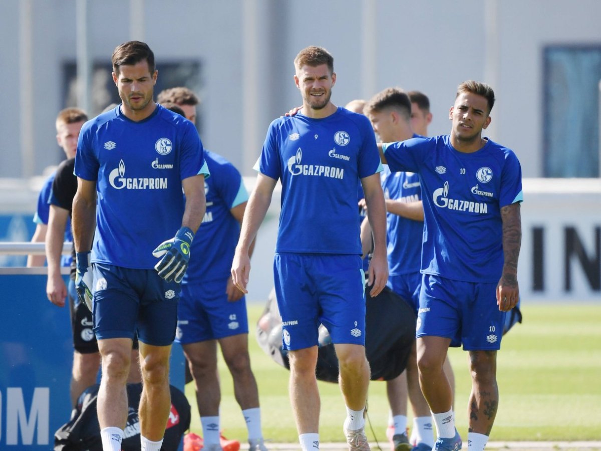 FC Schalke 04.jpg