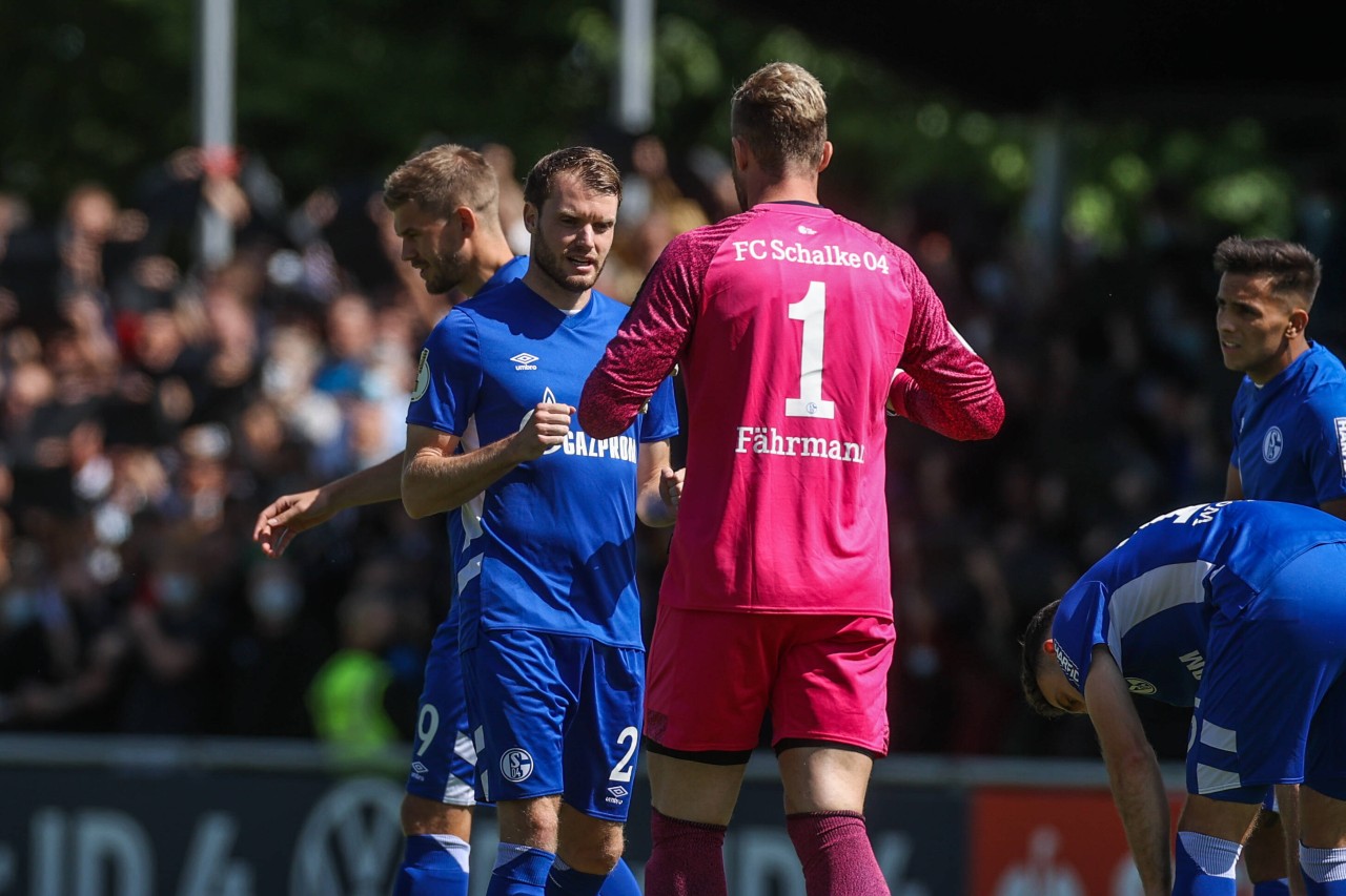 Beim FC Schalke 04 sind die Fans aus dem Häusschen!