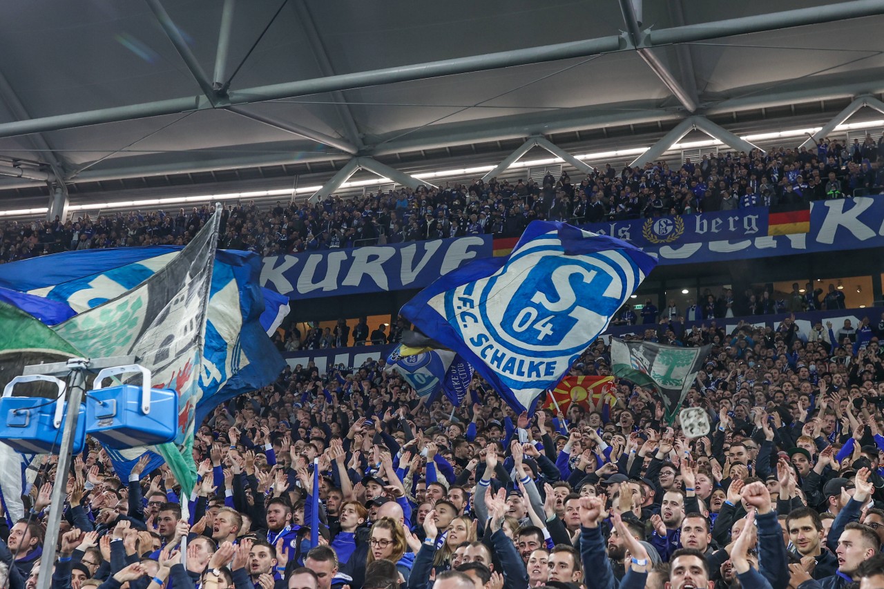 Ein Schalke-Fan begeistert mit seiner Trikot-Idee.