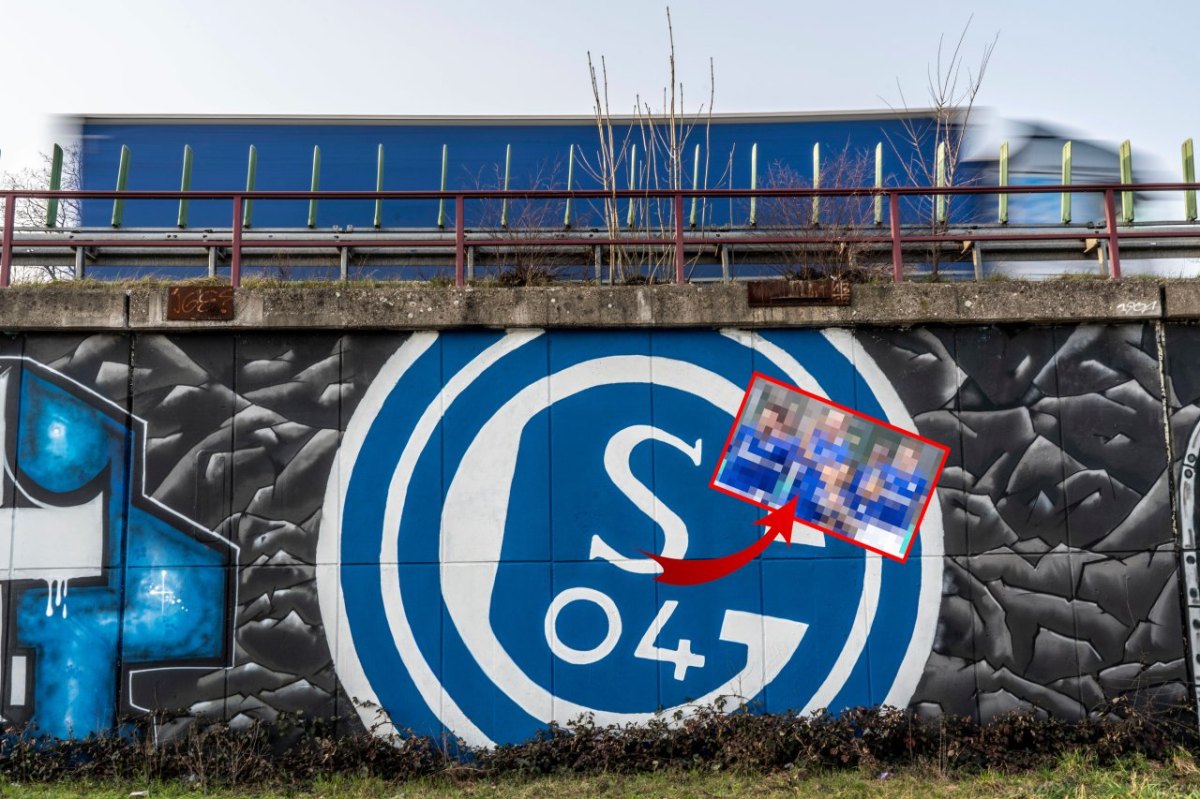 FC Schalke 04 .jpg