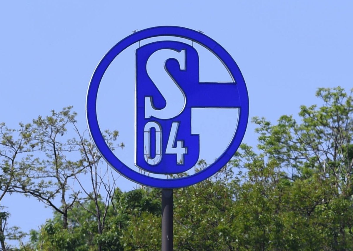 FC Schalke 04.jpg