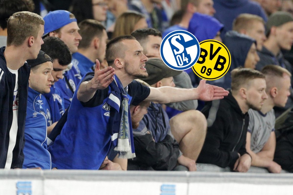 FC Schalke 04 BVB.jpg