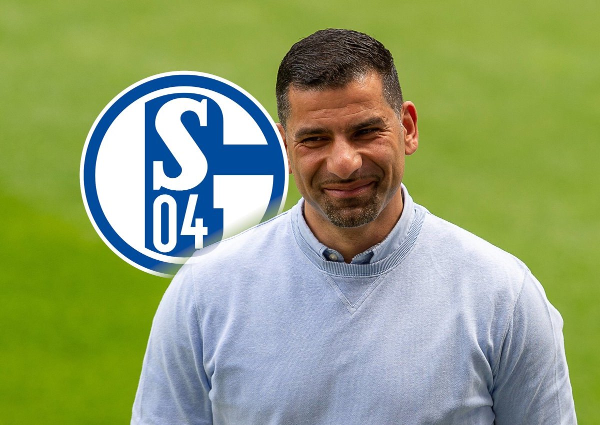 FC Schalke 04 Grammozis.jpg