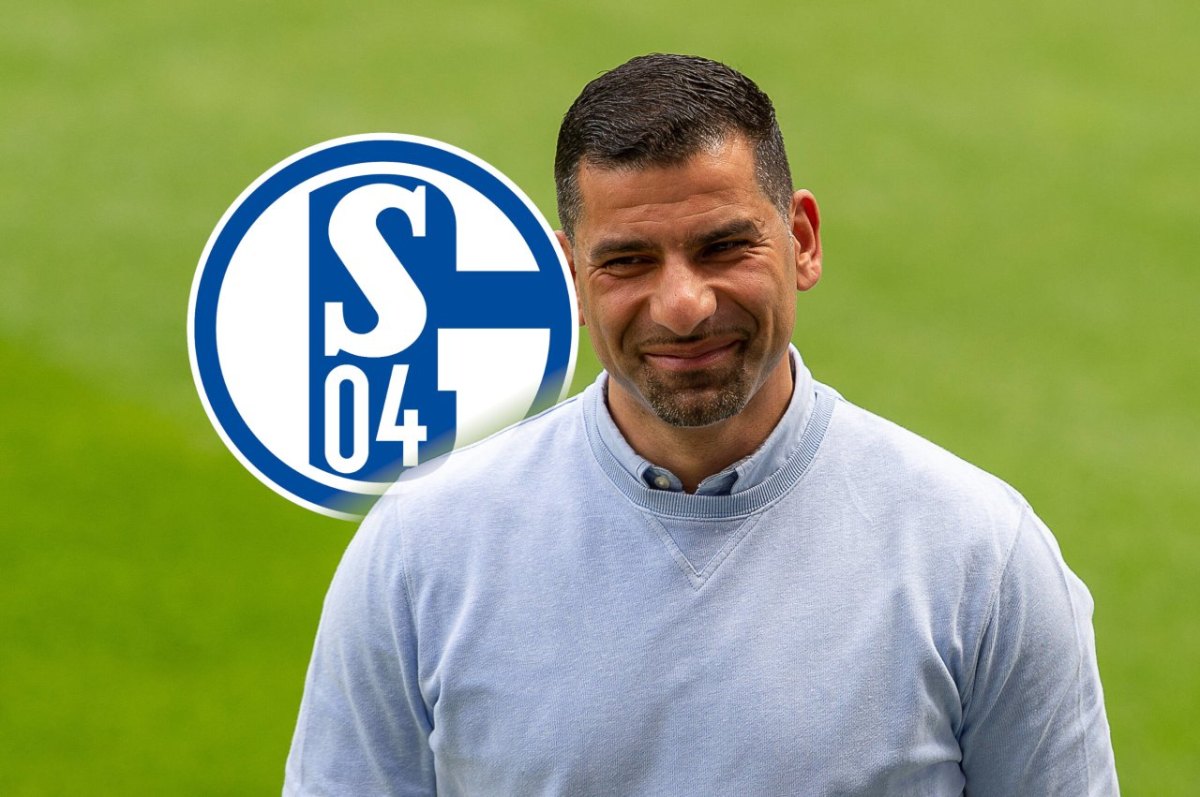 FC Schalke 04 Grammozis.jpg