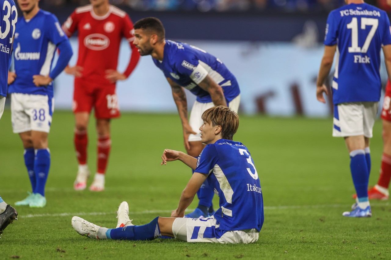 Der FC Schalke 04 hat gute Nachrichten !