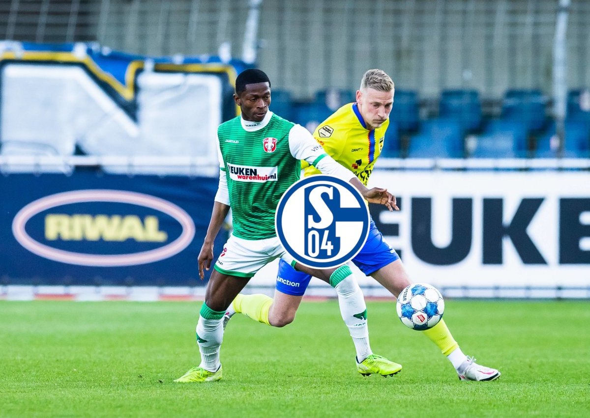 FC Schalke 04 Nelson Amadin.jpg