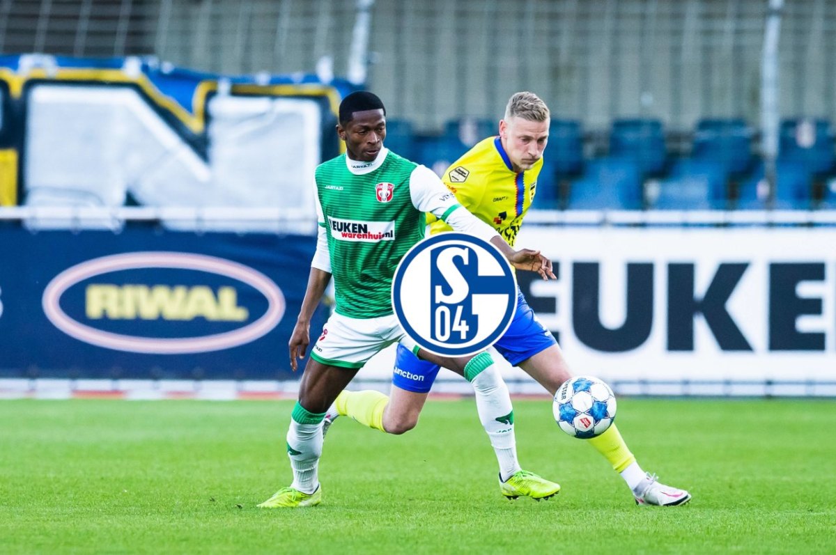 FC Schalke 04 Nelson Amadin.jpg