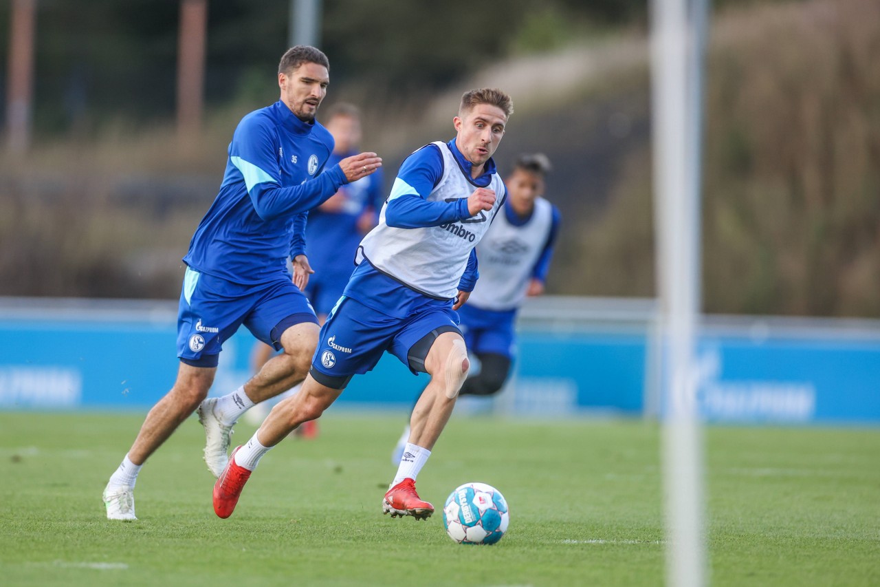 FC Schalke 04: Marcin Kaminski (l.) und Reinhold Ranftl spielen beide seit dem Sommer für S04.