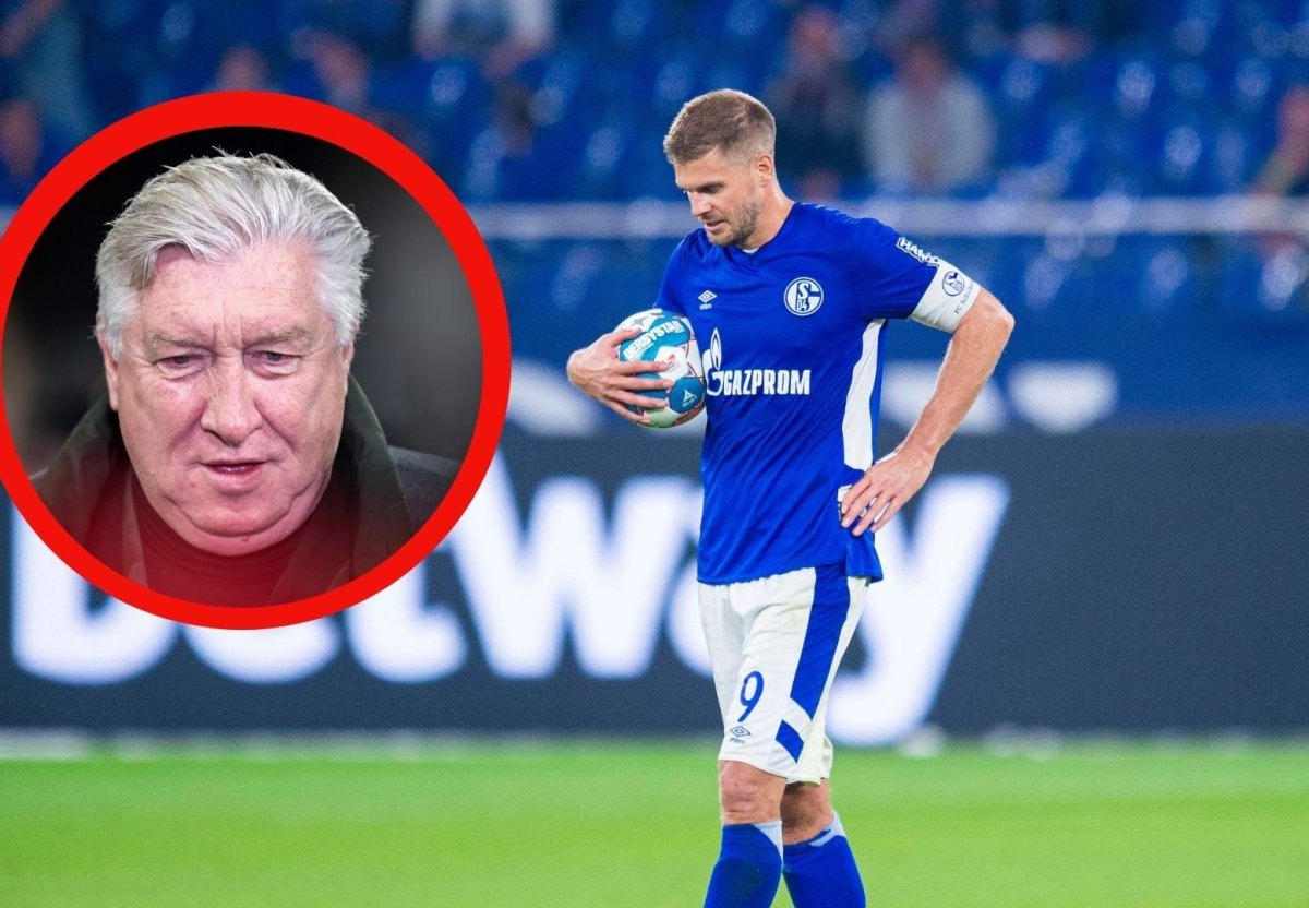 FC Schalke 04 Simon Terodde Schatzschneider.jpg