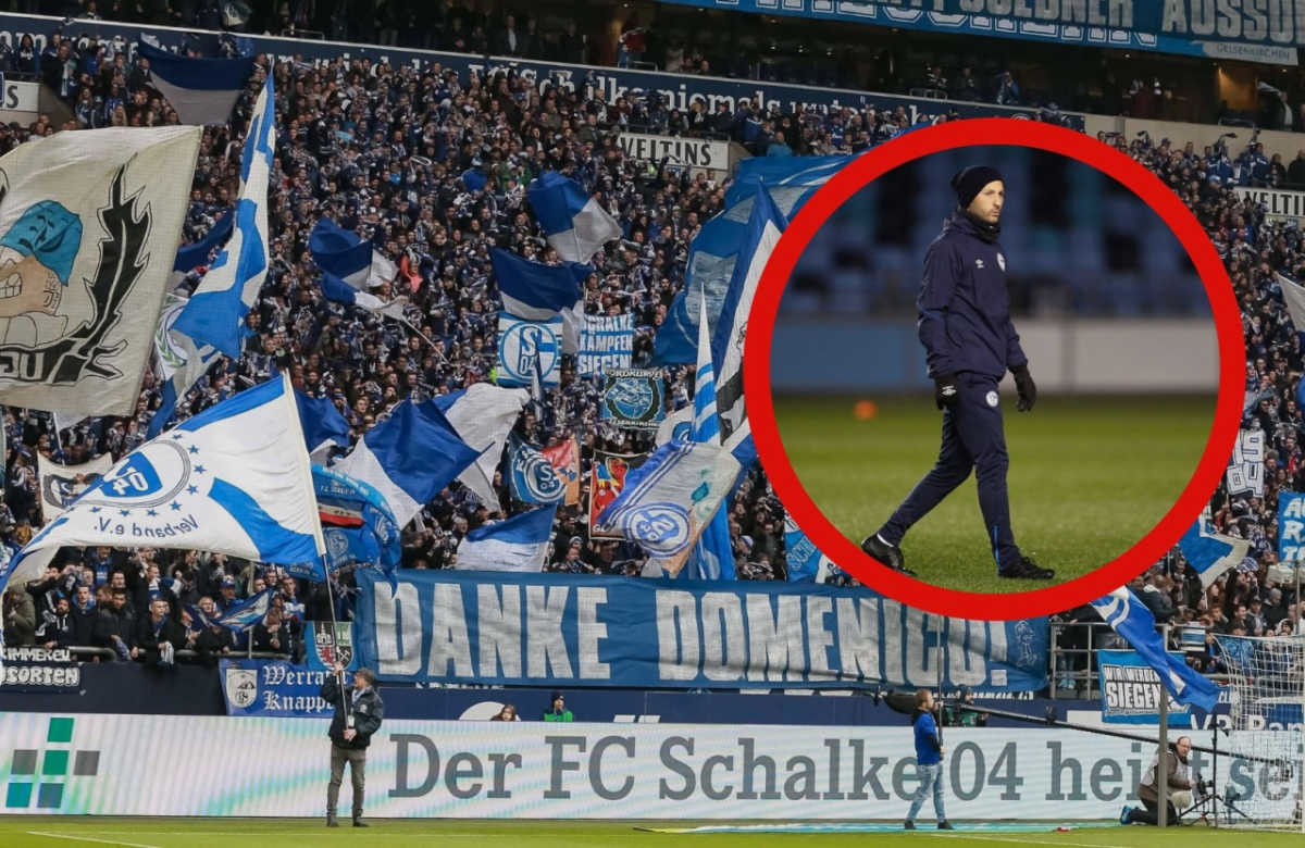 FC Schalke 04 Tedesco .jpg