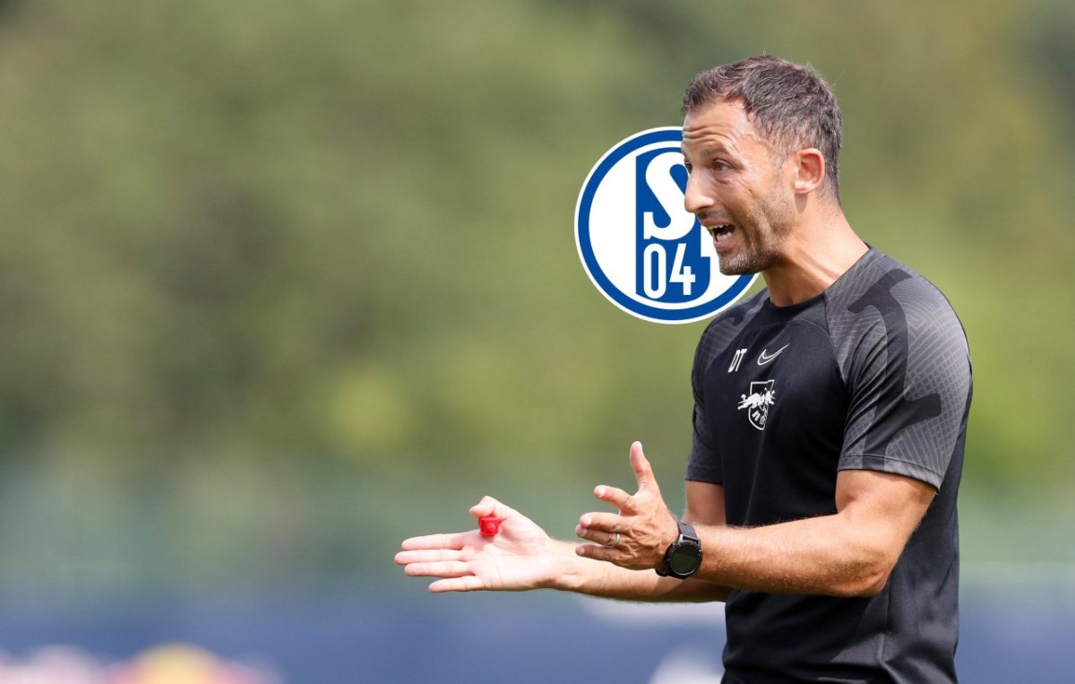 FC Schalke 04 Tedesco Vertrag.jpg