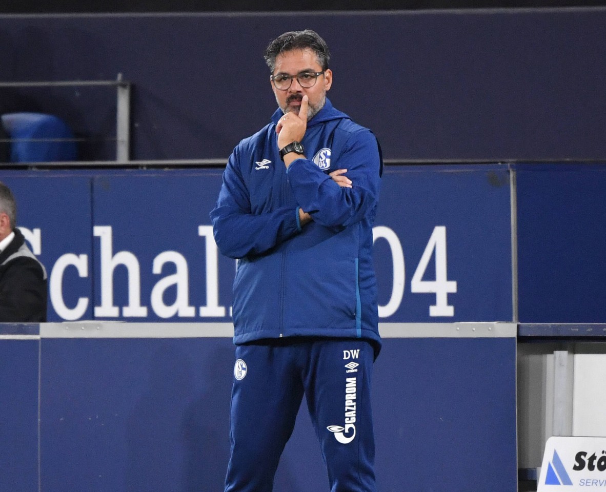 Die S04-Fans haben keine guten Erinnerungen an David Wagner.