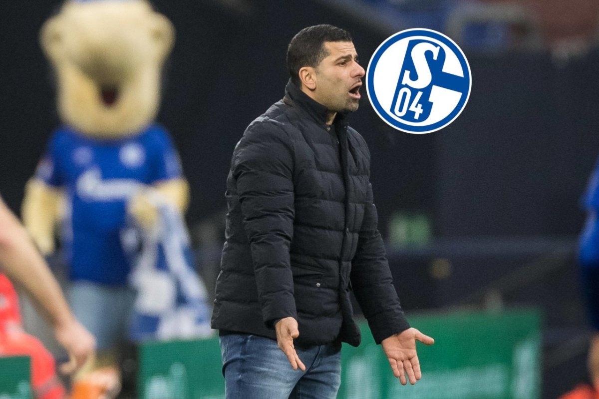 FC Schalke 04 dimi.jpg