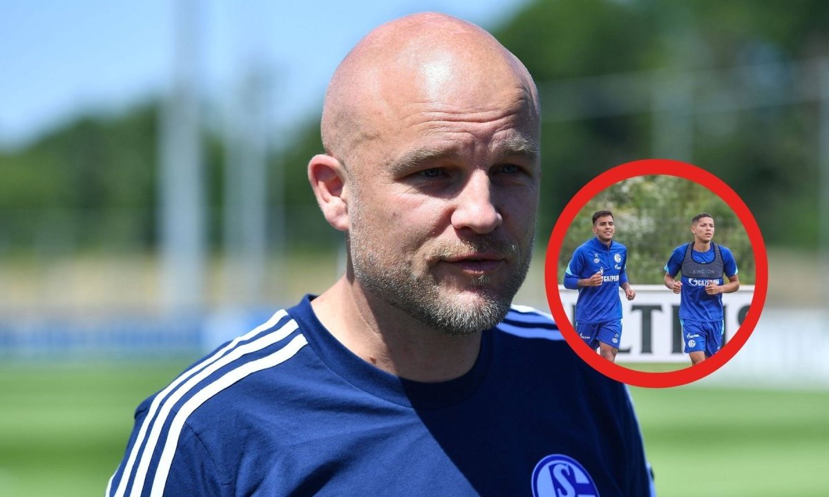 FC Schalke Harit.jpg