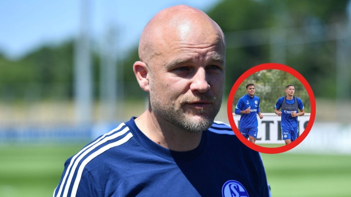 FC Schalke Harit.jpg