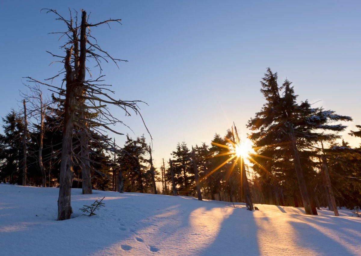 Fichtelberg.JPG