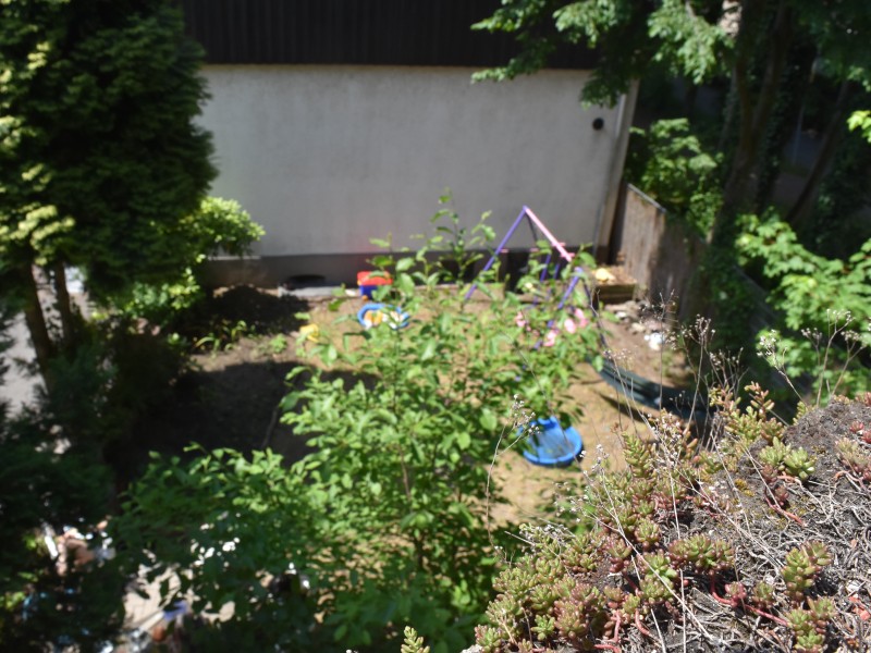 Ein Blick aus der ersten Etage in den Garten. Diesen nutzen die Hausbesetzer zum Entspannen.