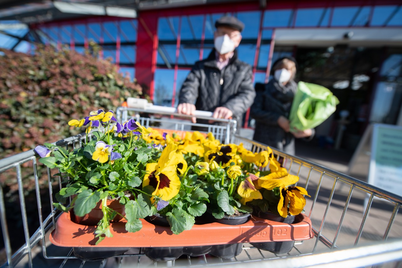 2G oder keine Regelung? Ein Baumarkt und Gartencenter aus Bochum sorgte bei einer Kundin für Verwirrung. (Symbolbild)