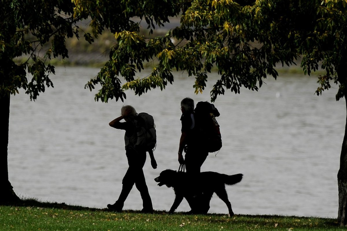 Gassigehen mit Gipfenblick Hundewanderung.jpg