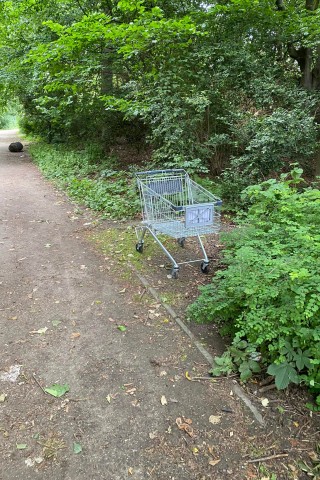 In Gelsenkirchen haben Unbekannte ihren Müll im Wald entsorgt.