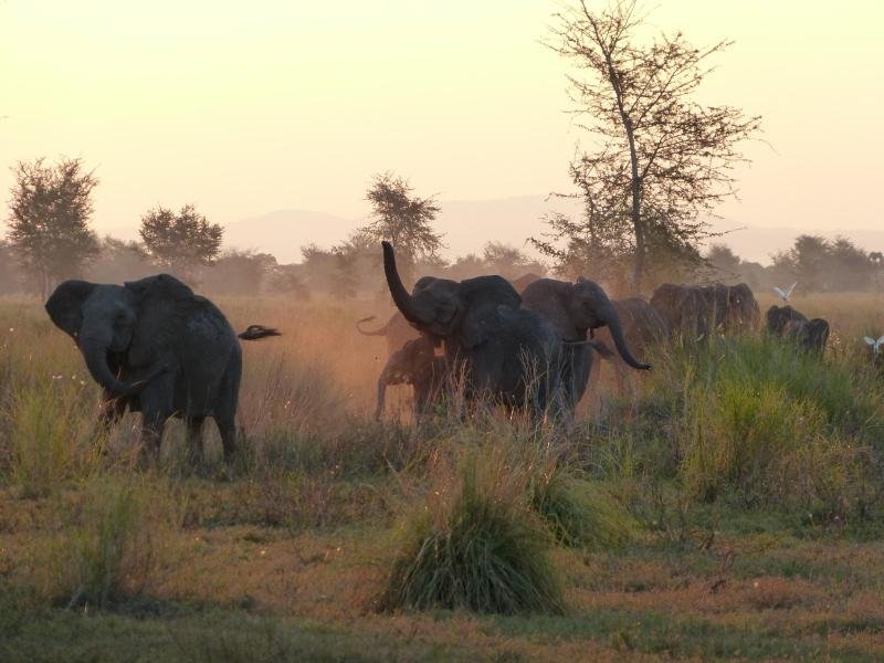 Gorongosa Nationalpark.jpg