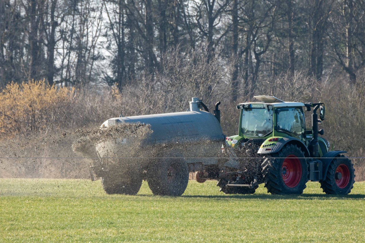 Was normalerweise auf dem Feld landet, verteilte sich am Donnerstag in Bottrop (NRW) auf der Dinslakener Straße und in einem PKW. (Symbolbild)