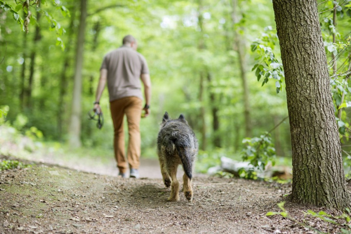 Hund Gassi NRW.jpg