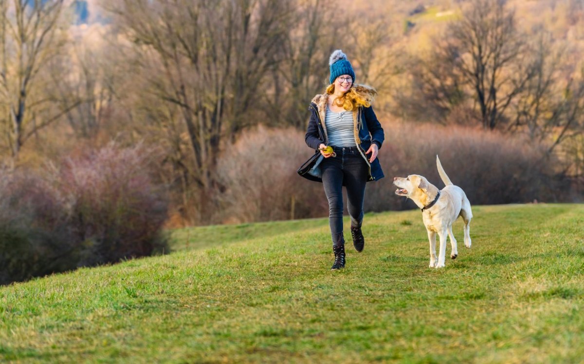 Hund in NRW.jpg