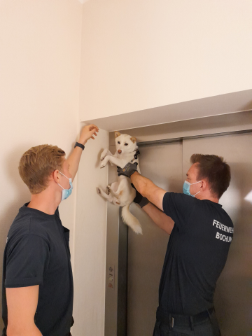 Die Feuerwehr Bochum befreite den Hund aus seiner misslichen Lage.