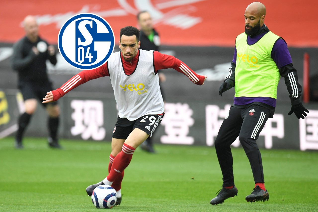 Sheffield-Spieler Kean Bryan könnte bald die Abwehr von Schalke 04 verstärken.