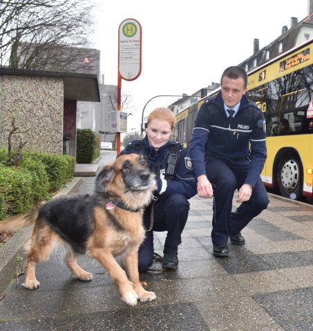 Mit einem solchen Schwarzfahrer dürfte es die Polizei eher selten zu tun haben. 