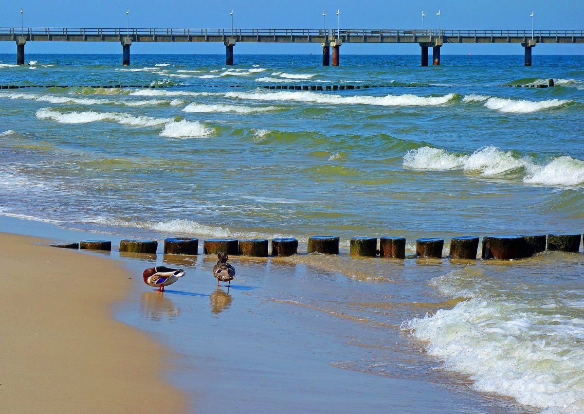 Ostsee.jpg