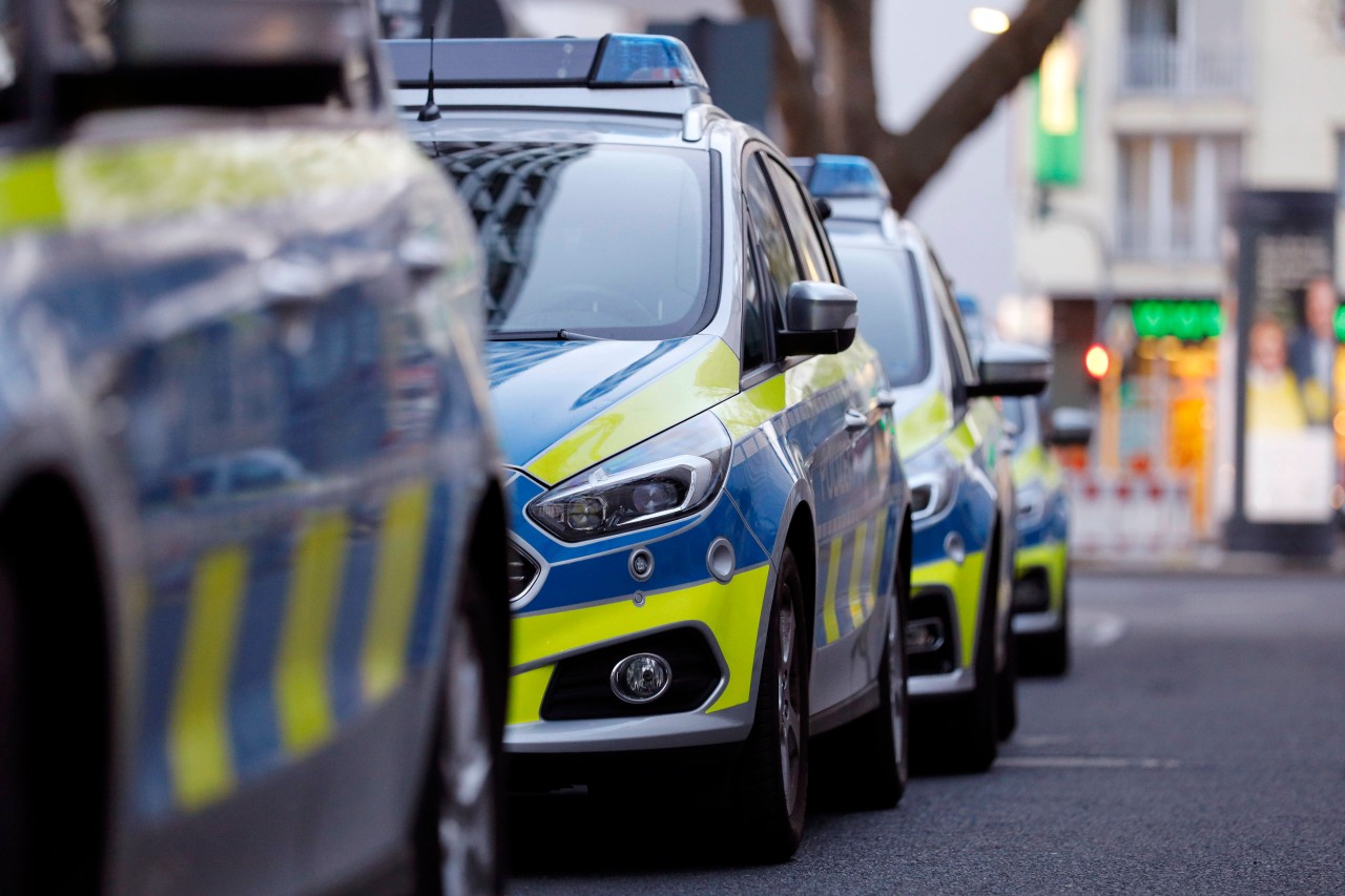 In Dortmund haben Unbekannte Tiere mit Farbe besprüht und Feuer gelegt.