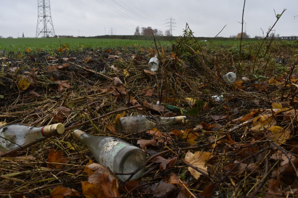 Prosecco_Flaschen_Friedhof_Bochum_Günnigfeld.JPG