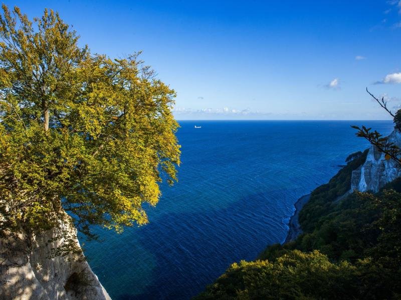 Rügen Kreidefelsen.jpg