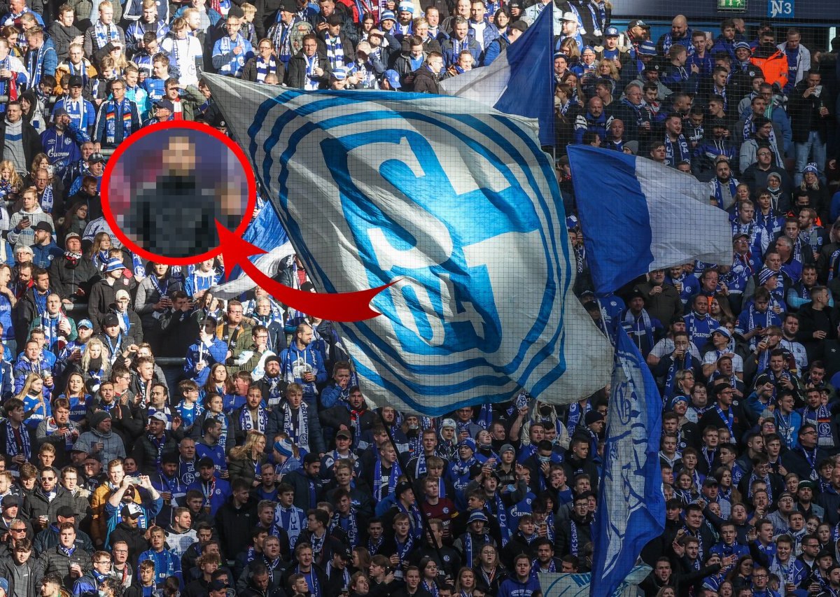 Schalke Tedesco.jpg