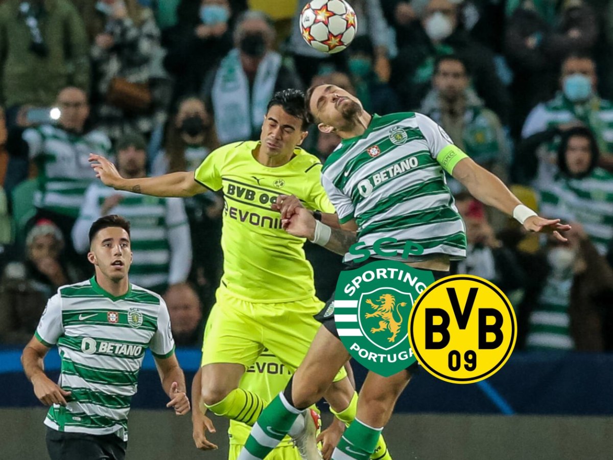 Sporting BVB.jpg