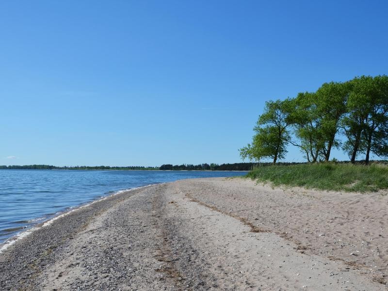 Donnerkeile und Hühnergötter: Am Strand auf Zudar findet sich allerlei Gestein und Versteinertes.