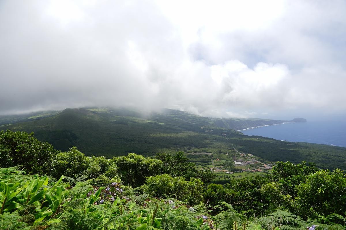 Unverschämt grün kommt die Insel Faial vielerorts daher. 