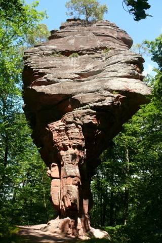 Wälder, Wiesen, Weltenbummler: Wandern im Naturpark Nordvogesen