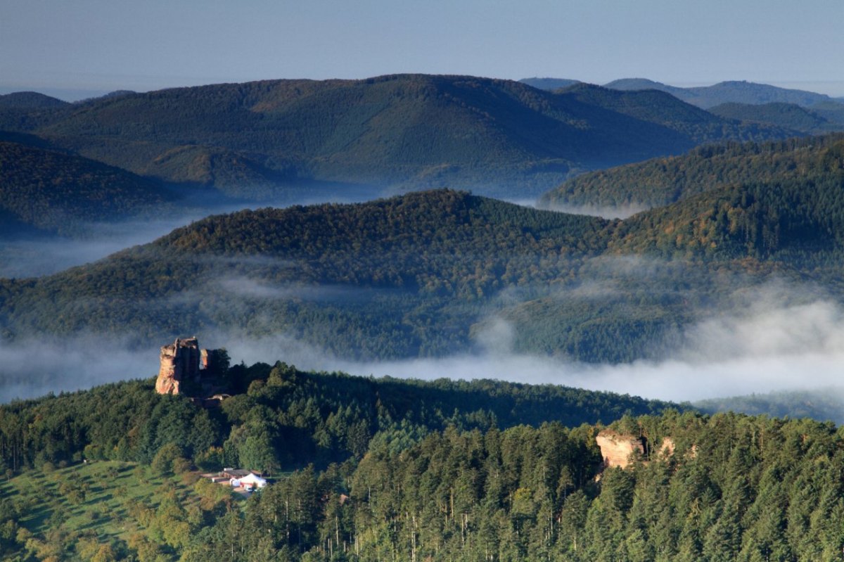 Wandern im Naturpark Nordvogesen.jpg