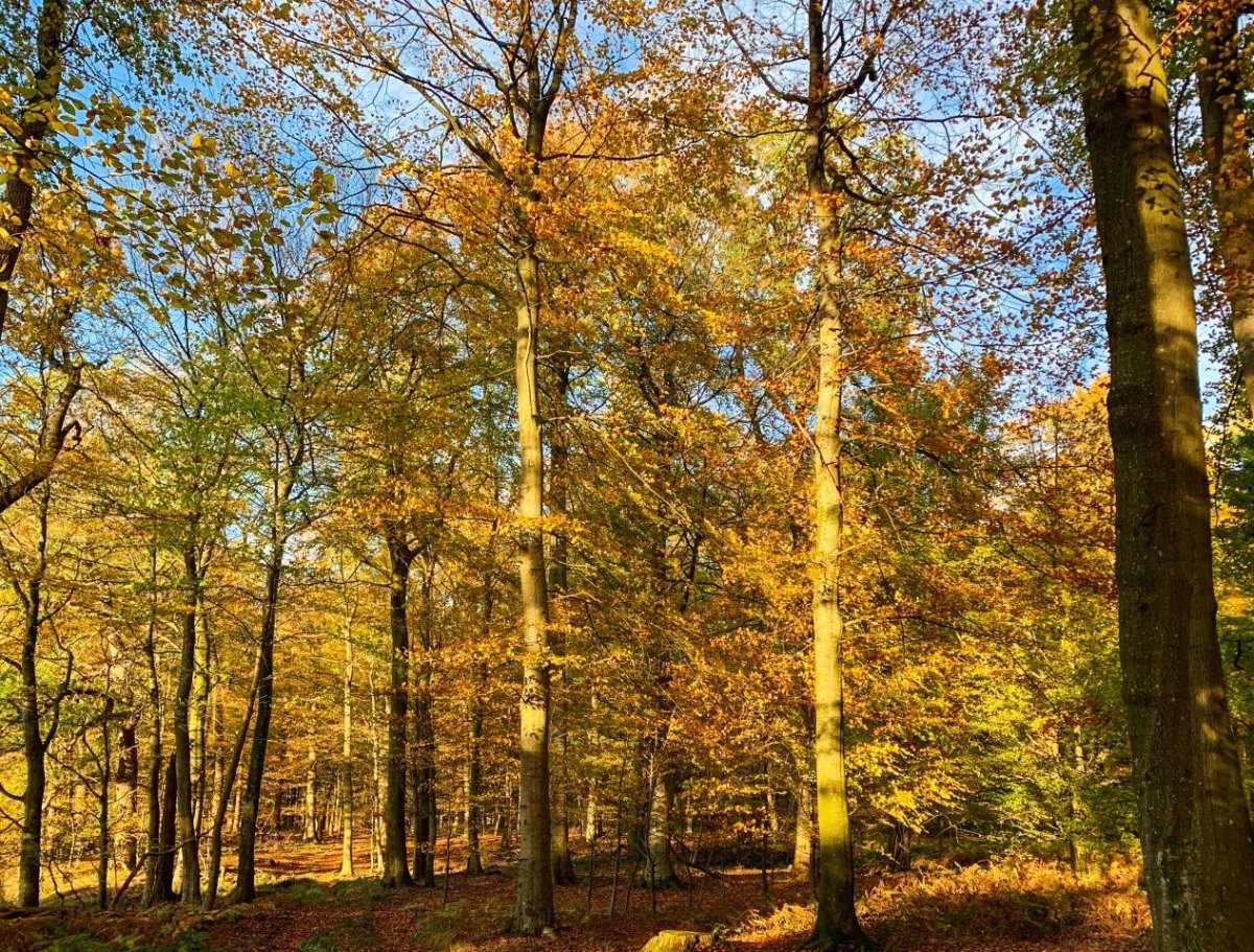 Wetter In NRW.jpg