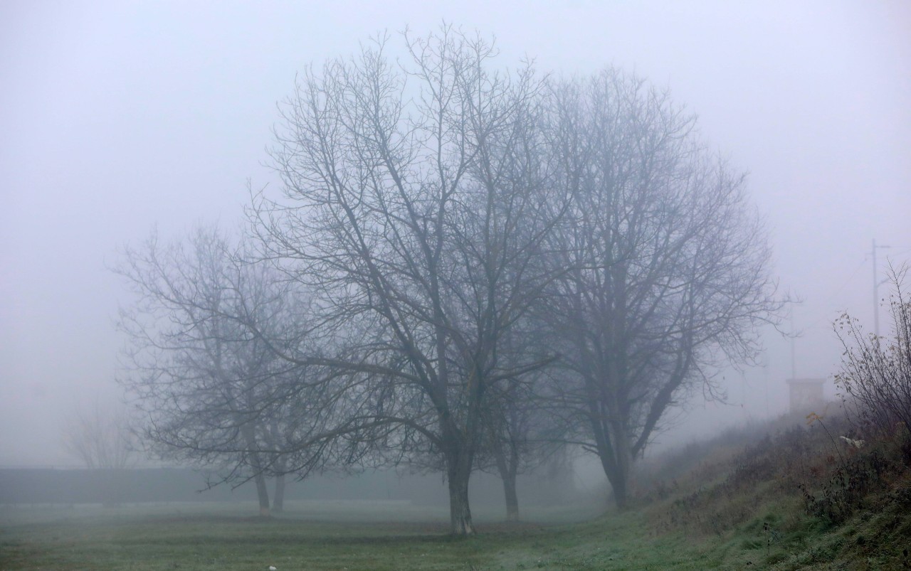 Der Rest der Woche wird das Wetter in NRW kalt und neblig. (Symbolfoto)