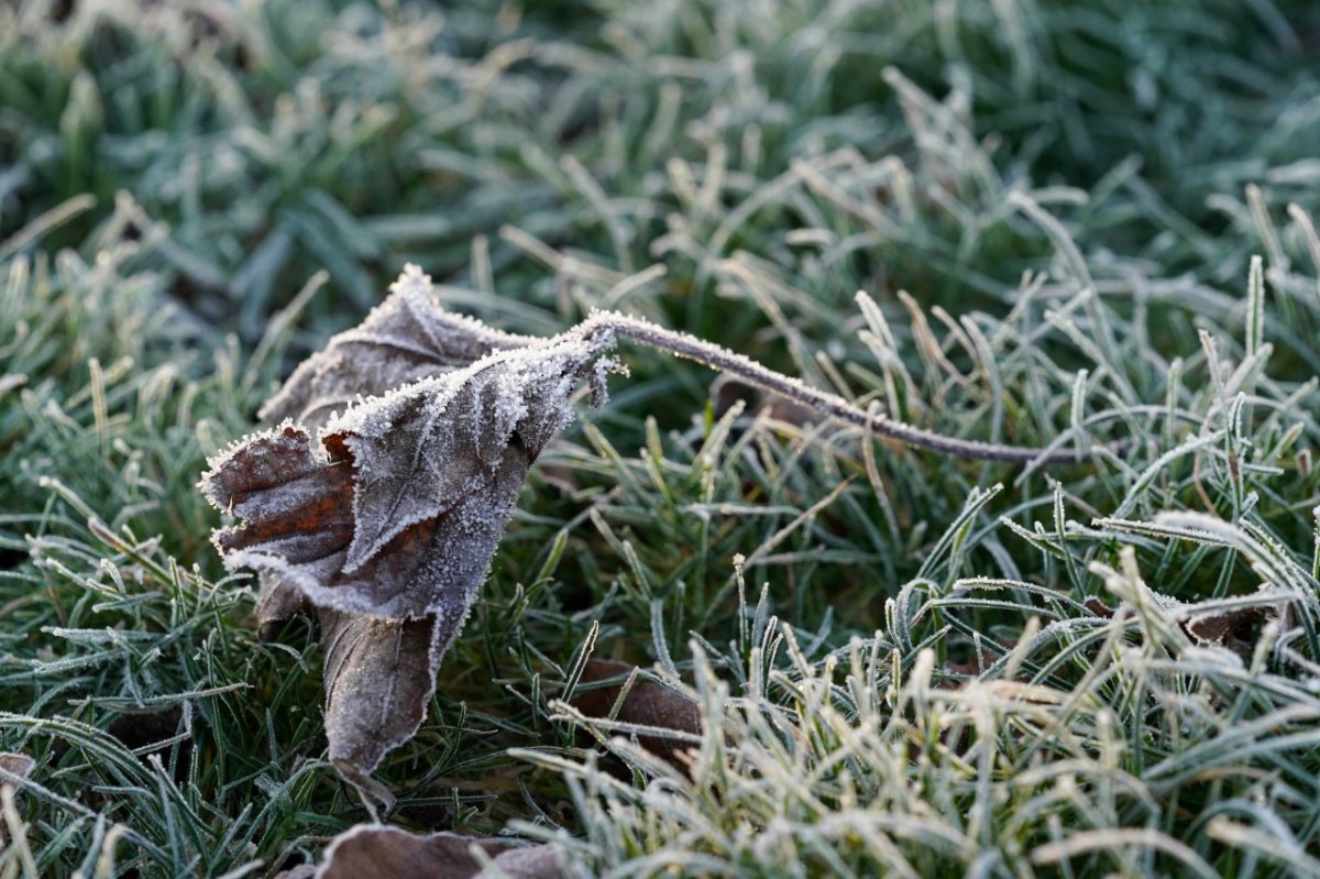 Wetter-NRW-Frost.jpg