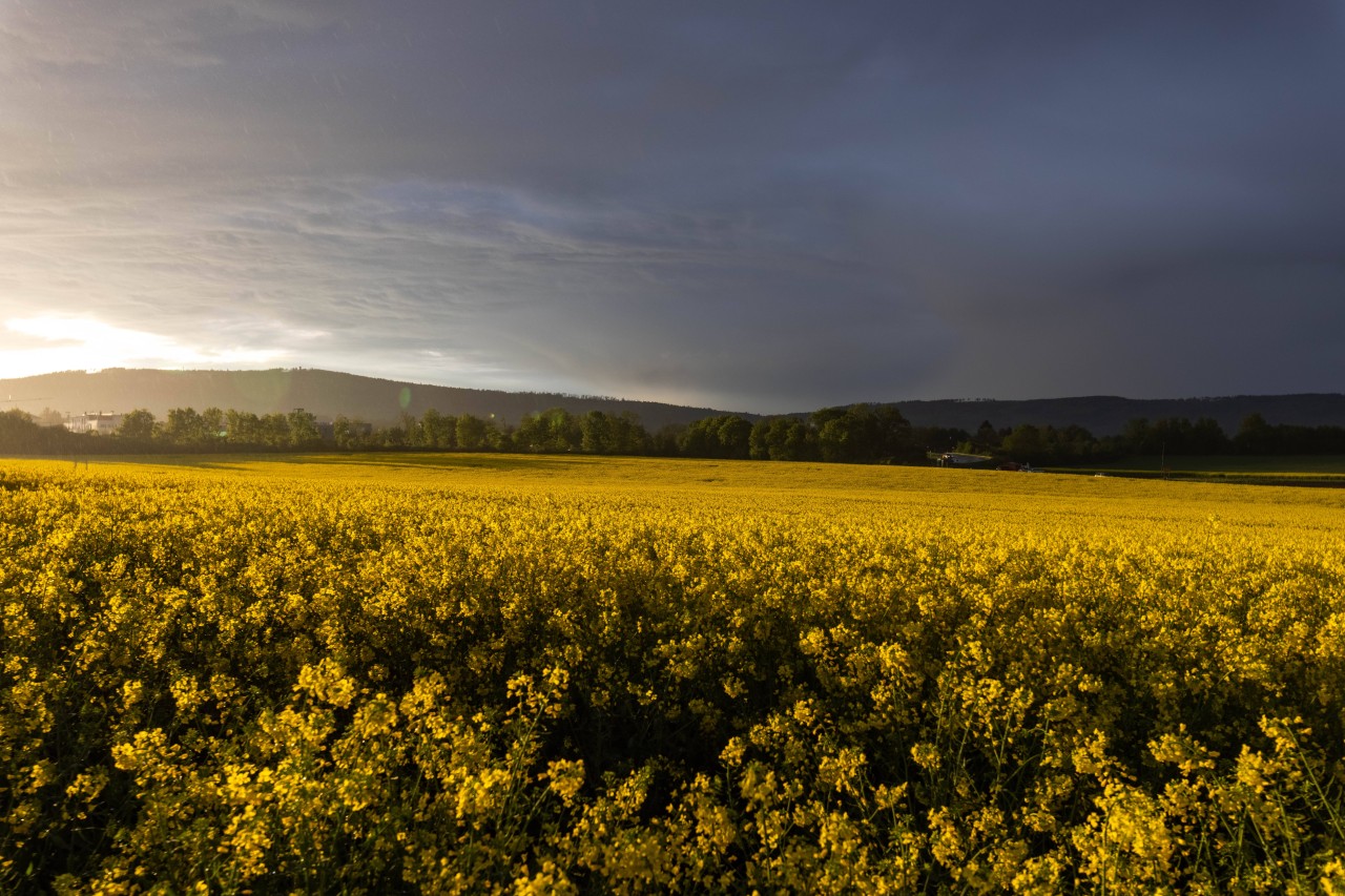 Wetter in NRW: Erst steigen die Temperaturen, dann folgt der Knall (Symbolfoto).