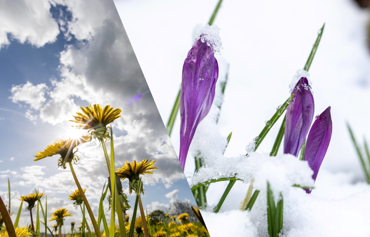 Das April-Wetter in NRW wird verrückt – Schnee und Sonnenschein. (Symbolbild)