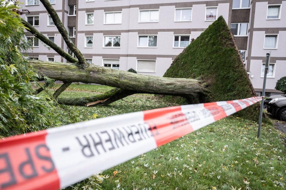 Wetter in NRW.jpg